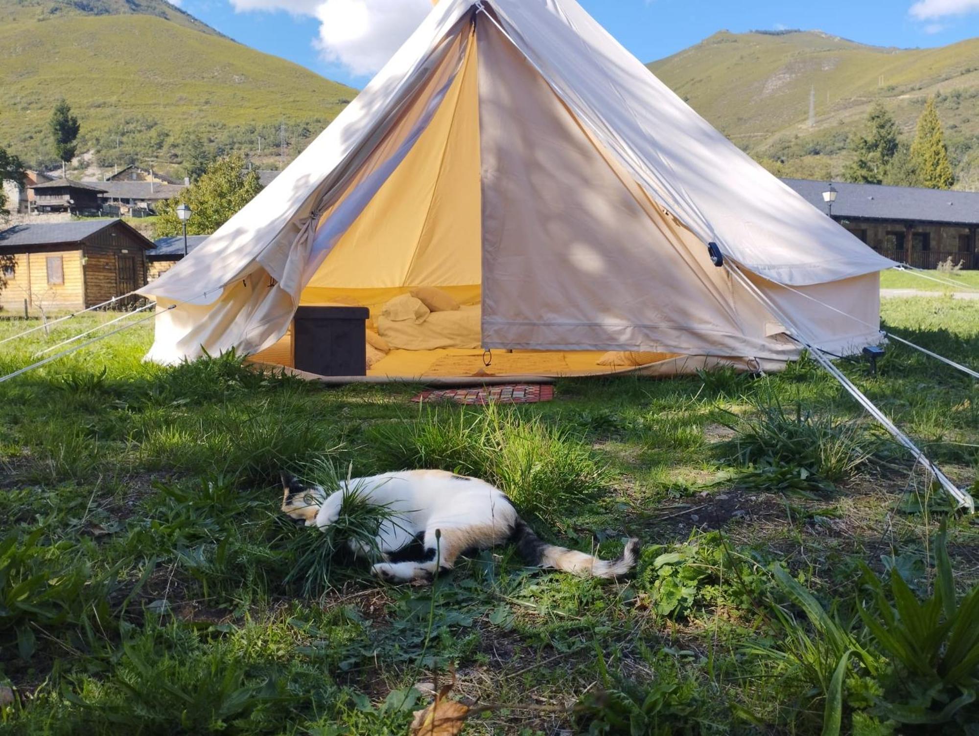 Camping La Zarapica - Palacios Del Sil Dış mekan fotoğraf
